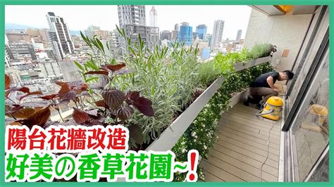 高樓陽台植物